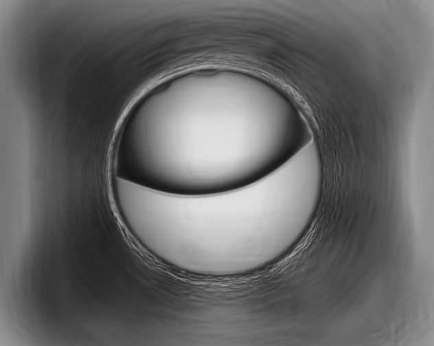 X0000097991530200803241011