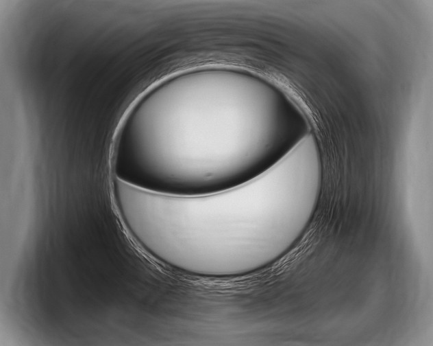 X0000097991532200803241011