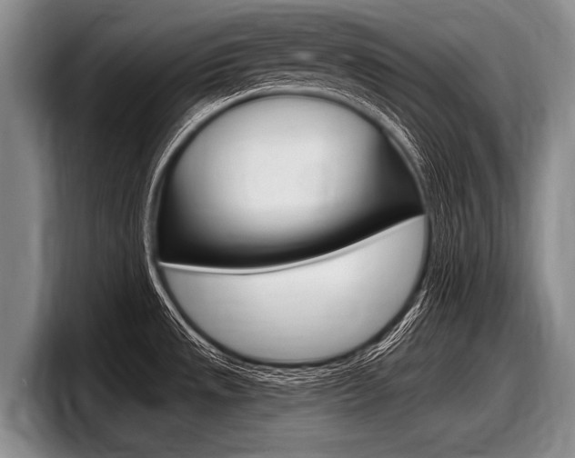 X0000097991533200803241011