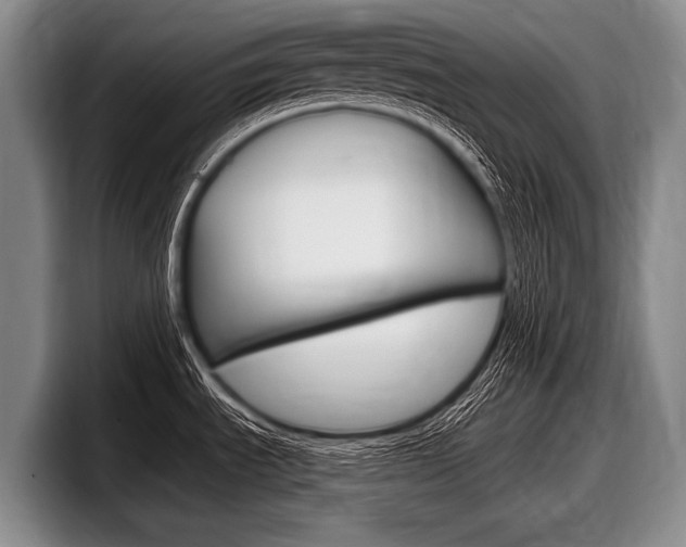 X0000097991535200803241011