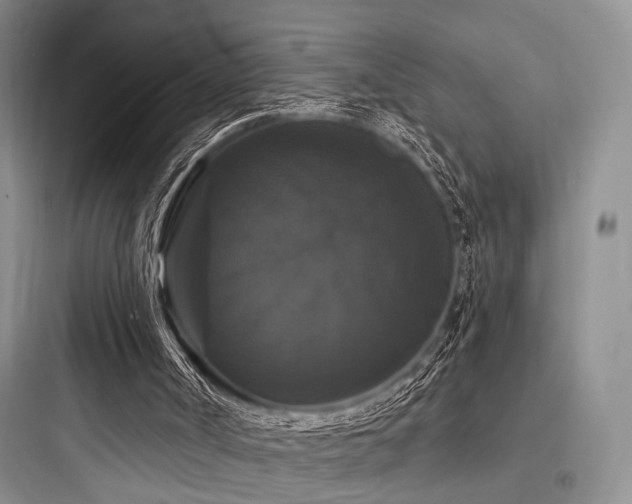 X0000097990002200803241352