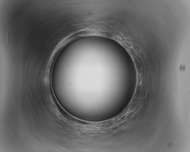 X0000097990004200803241352