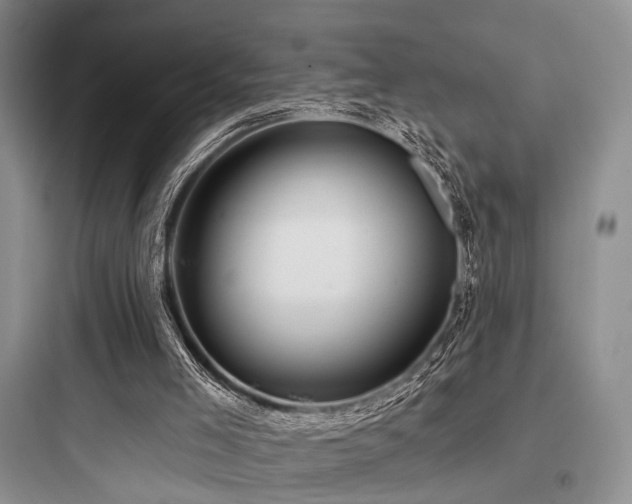 X0000097990005200803241352