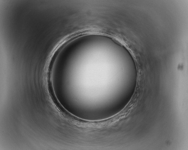 X0000097990007200803241352