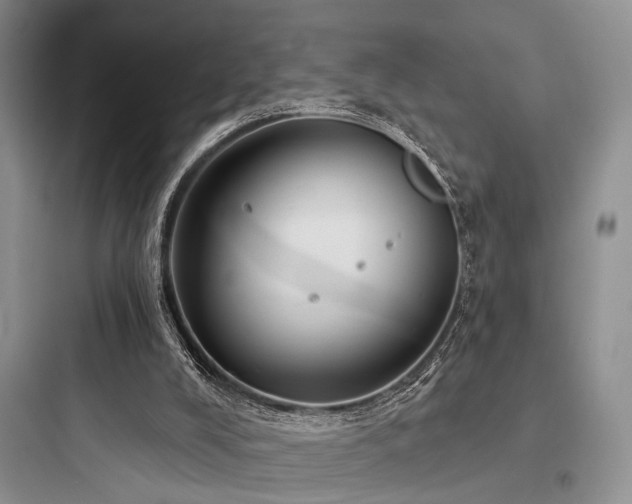 X0000097990008200803241352