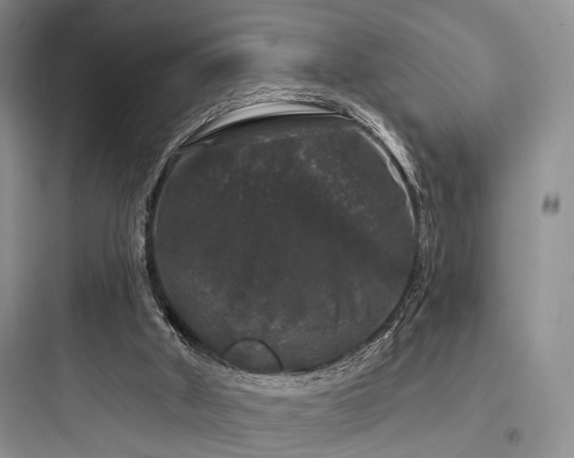 X0000097990010200803241352