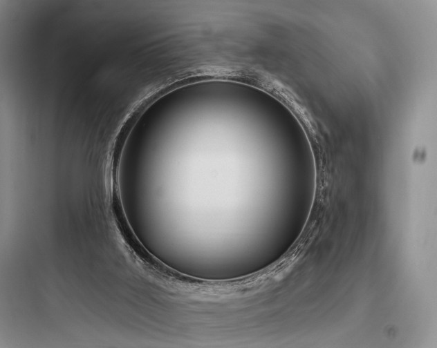 X0000097990011200803241352