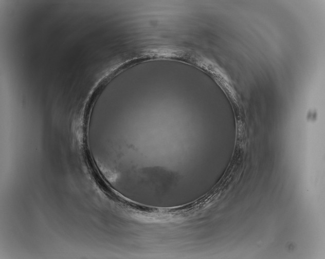 X0000097990012200803241352