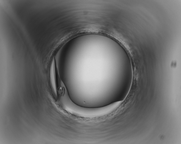 X0000097990013200803241352
