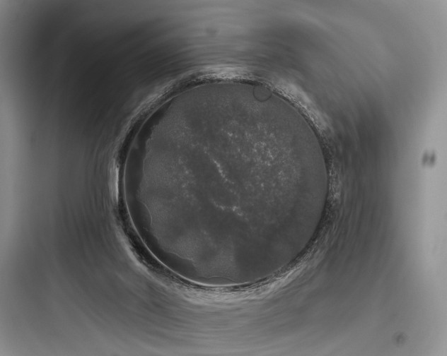 X0000097990014200803241352
