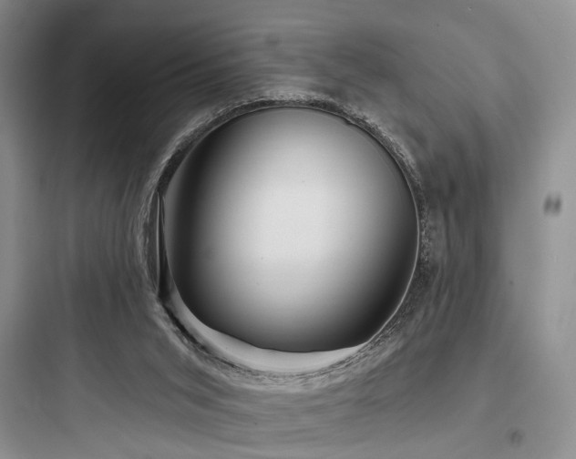 X0000097990015200803241352
