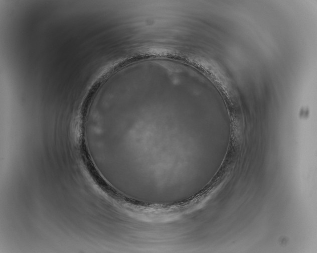 X0000097990016200803241352