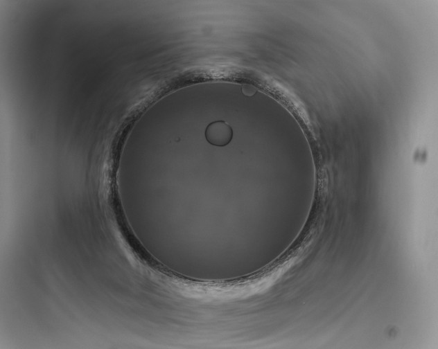X0000097990018200803241352