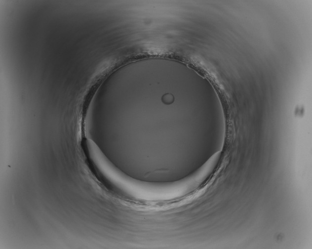 X0000097990019200803241352