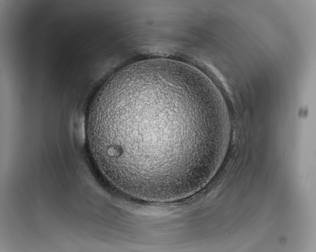 X0000097990020200803241352