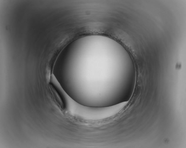 X0000097990021200803241351