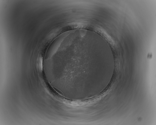 X0000097990022200803241351