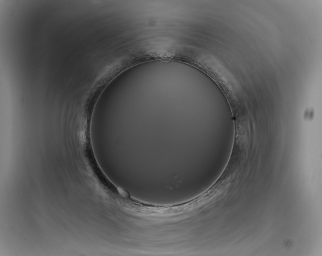 X0000097990023200803241351