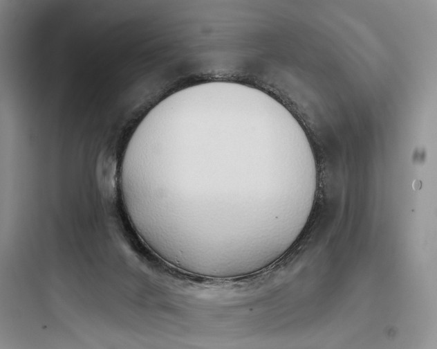 X0000097990024200803241351
