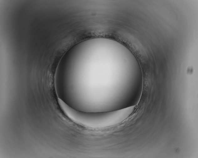 X0000097990025200803241351