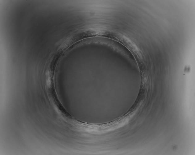 X0000097990026200803241351