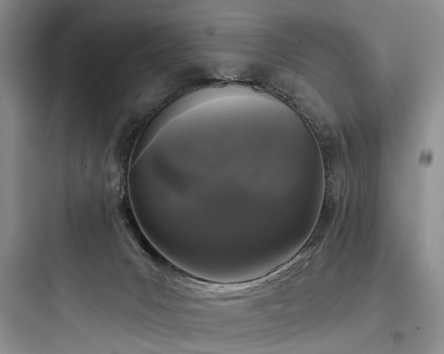 X0000097990031200803241351