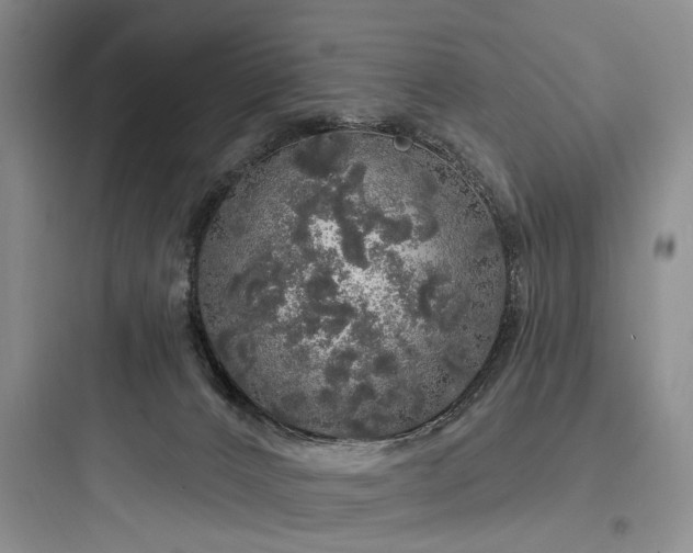 X0000097990032200803241351