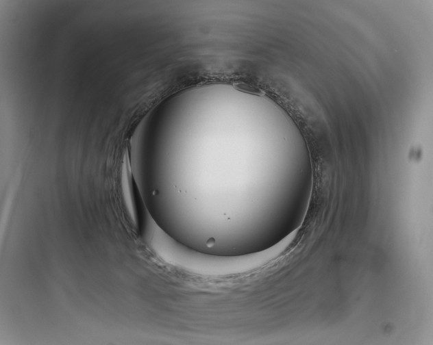 X0000097990033200803241351