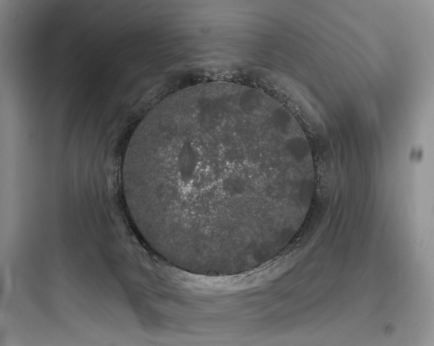 X0000097990034200803241351