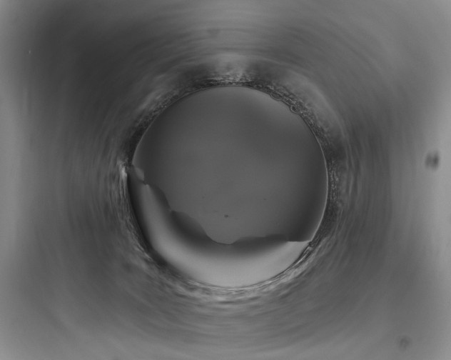 X0000097990035200803241351