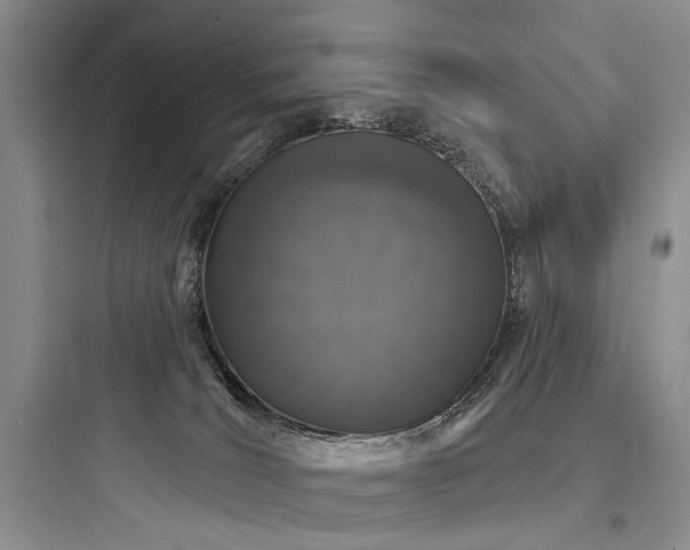 X0000097990036200803241351