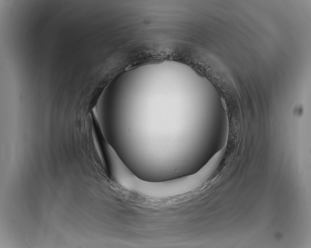 X0000097990037200803241351