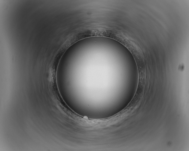 X0000097990038200803241351