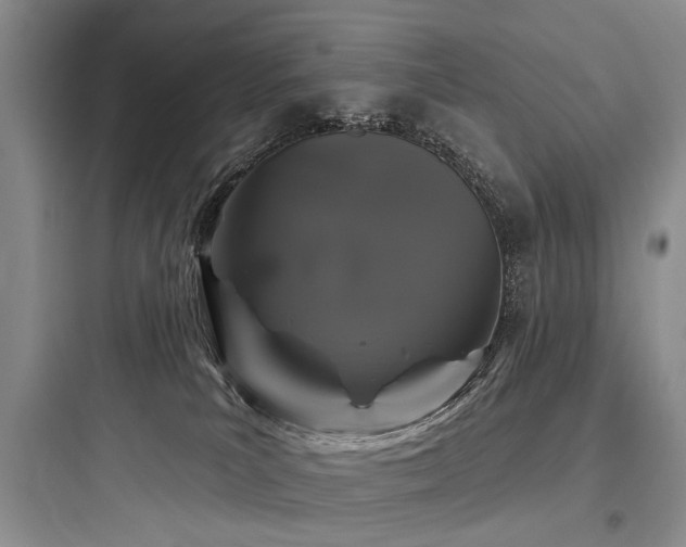 X0000097990039200803241351