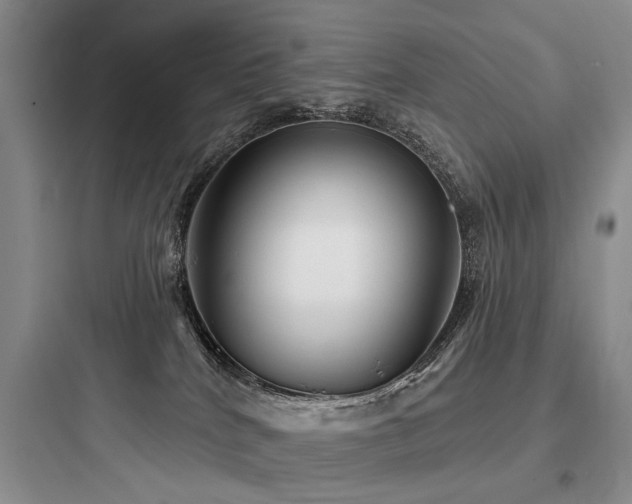 X0000097990040200803241351