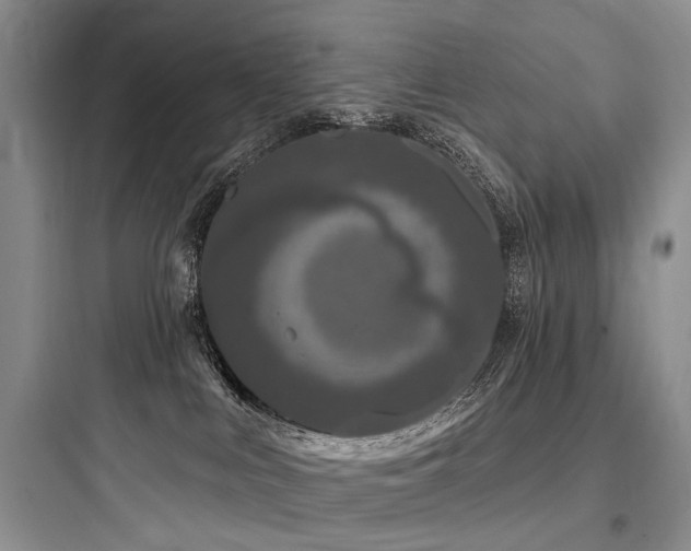 X0000097990043200803241351