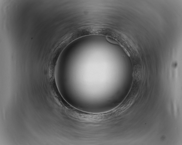 X0000097990044200803241351