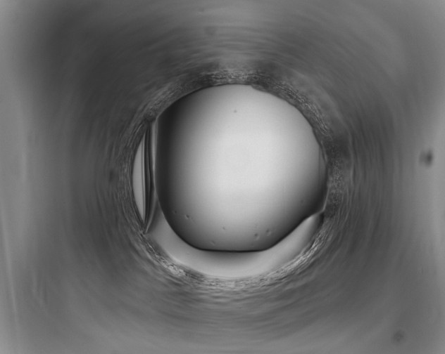 X0000097990045200803241351