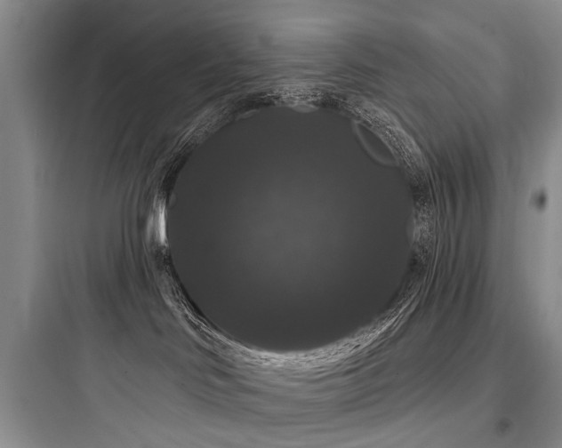 X0000097990046200803241351