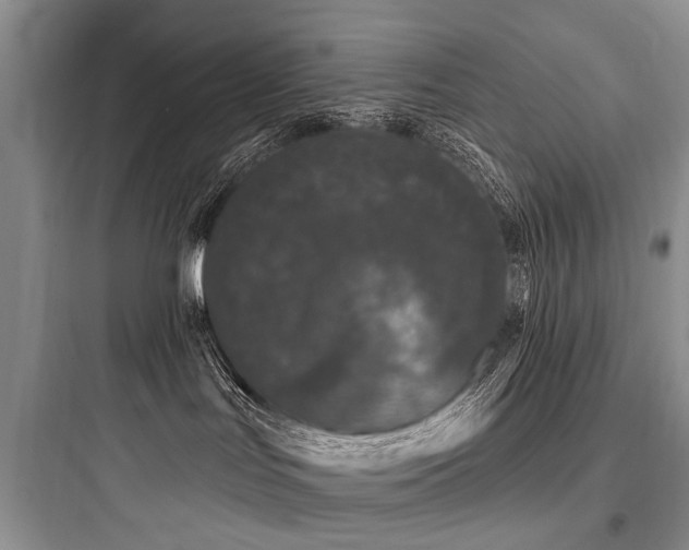 X0000097990047200803241351