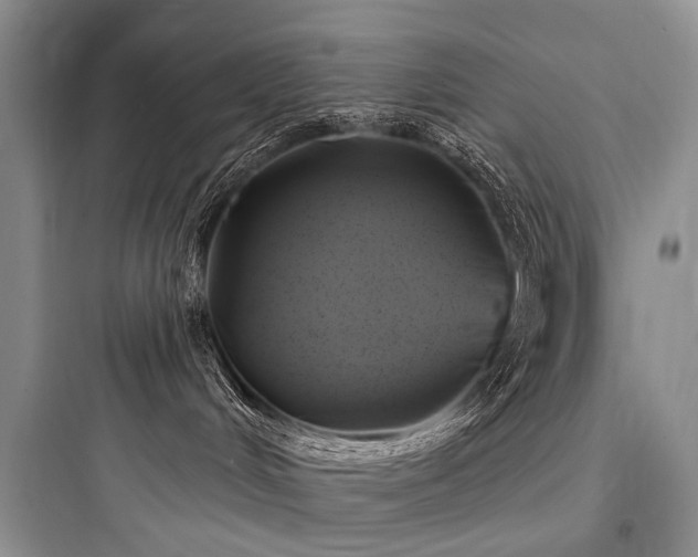 X0000097990048200803241351