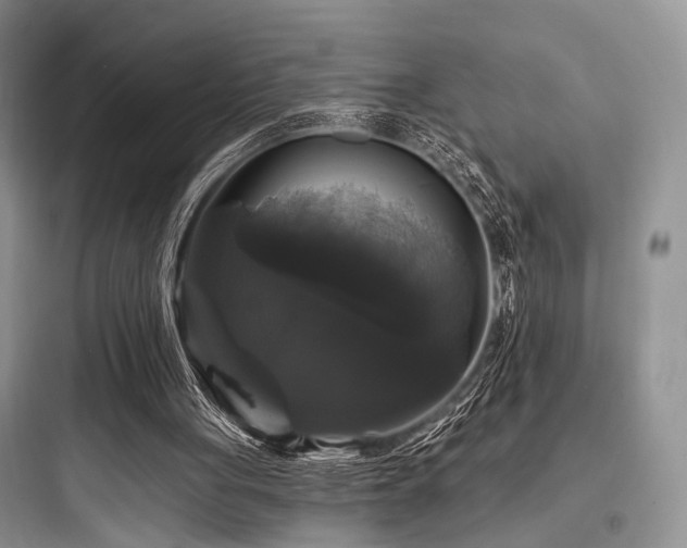 X0000097990051200803241350
