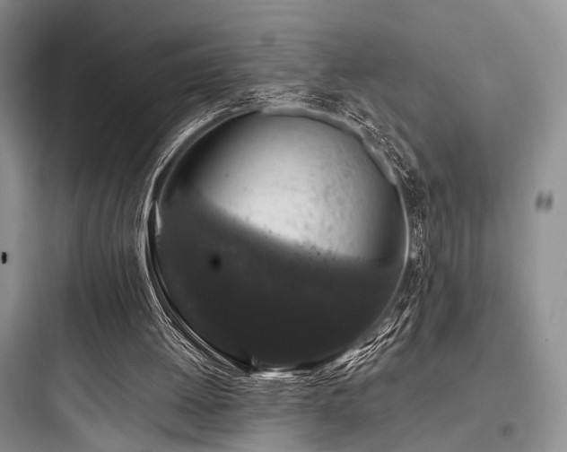 X0000097990052200803241350