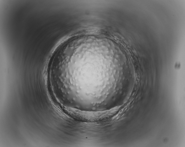 X0000097990054200803241351