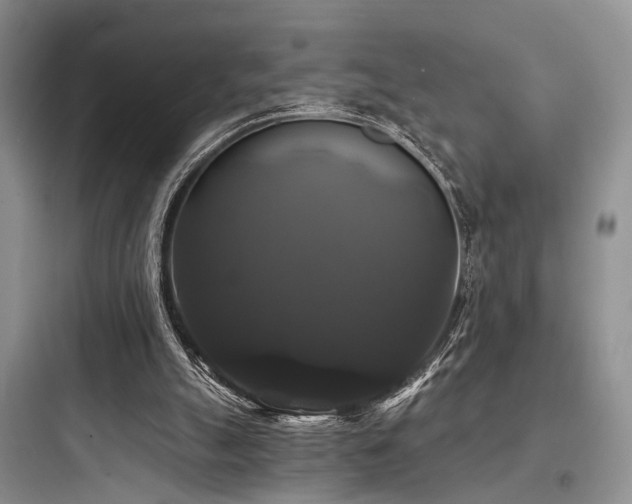 X0000097990055200803241351