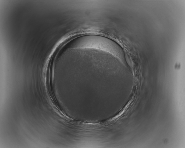 X0000097990056200803241351