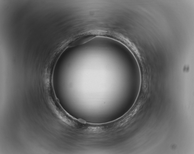 X0000097990057200803241351