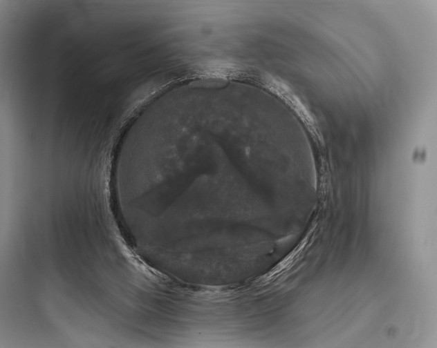 X0000097990058200803241351