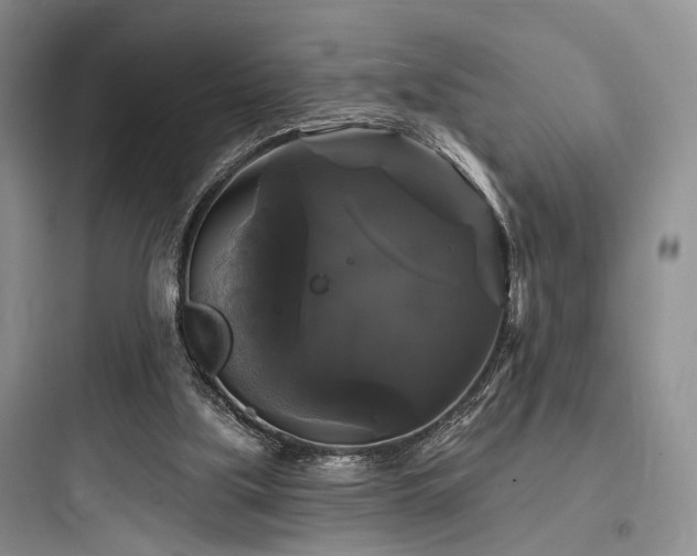 X0000097990059200803241351