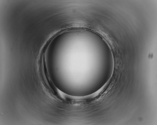 X0000097990060200803241351